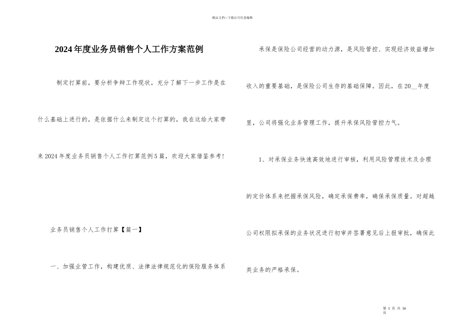 2024年度业务员销售个人工作计划范例-1_第1页