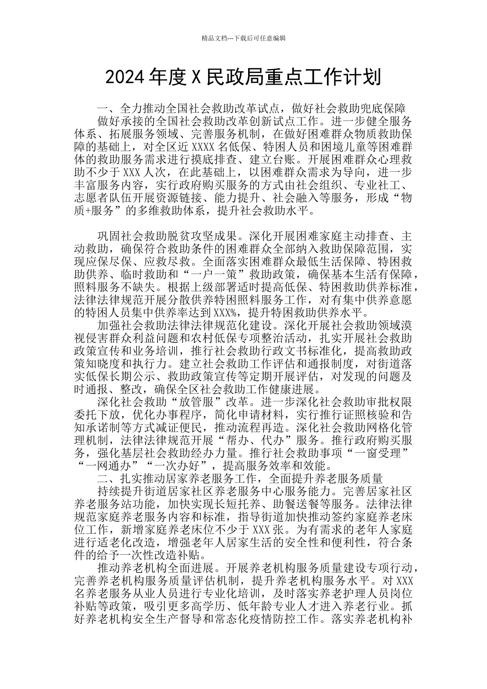 2024年度X民政局重点工作计划_第1页
