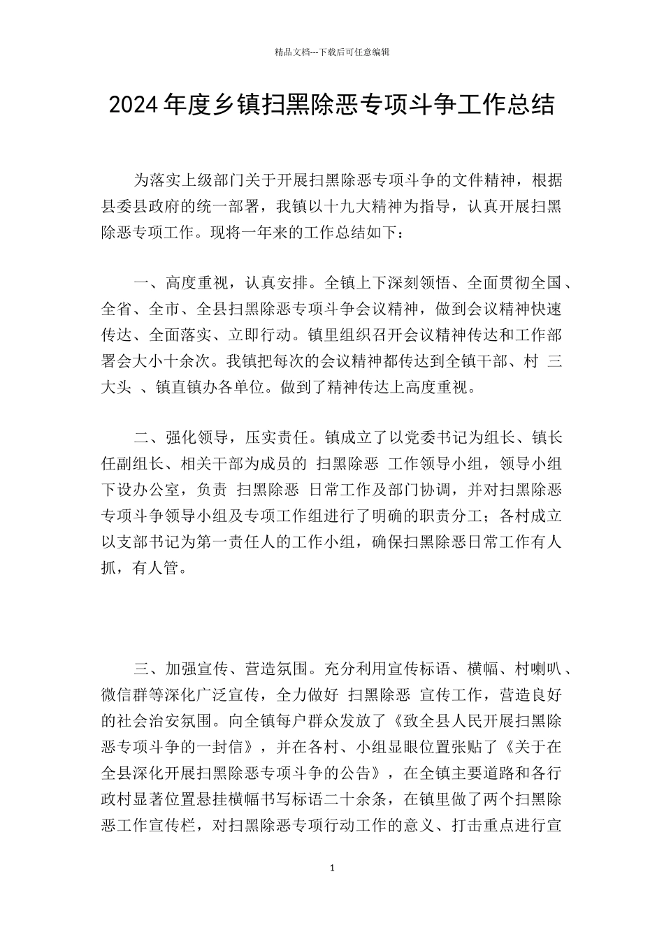 2024年度乡镇扫黑除恶专项斗争工作总结_第1页