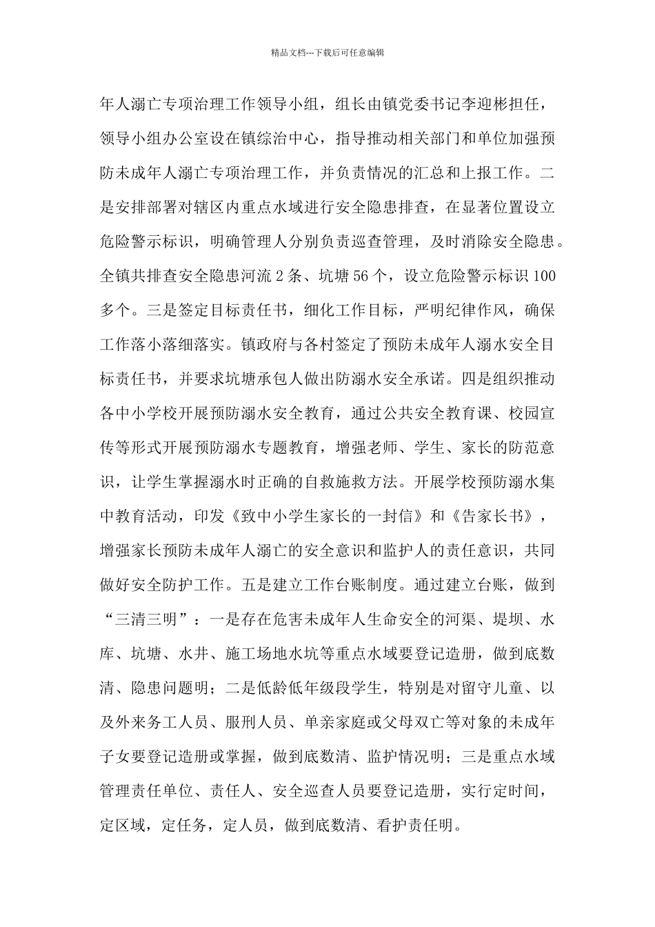 2024年度乡镇平安建设工作总结_第3页