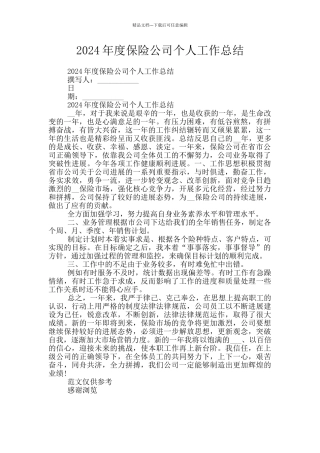 2024年度保险公司个人工作总结