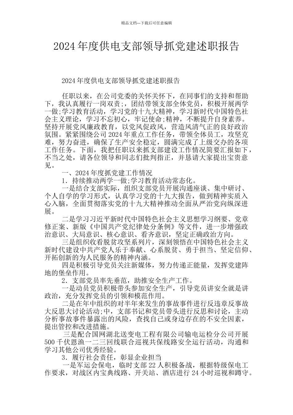 2024年度供电支部领导抓党建述职报告_第1页