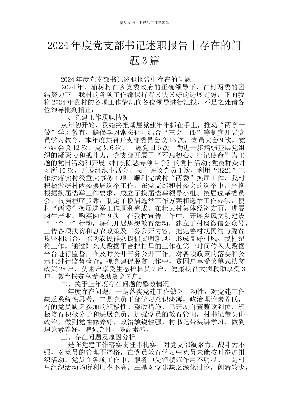 2024年度党支部书记述职报告中存在的问题3篇_第1页