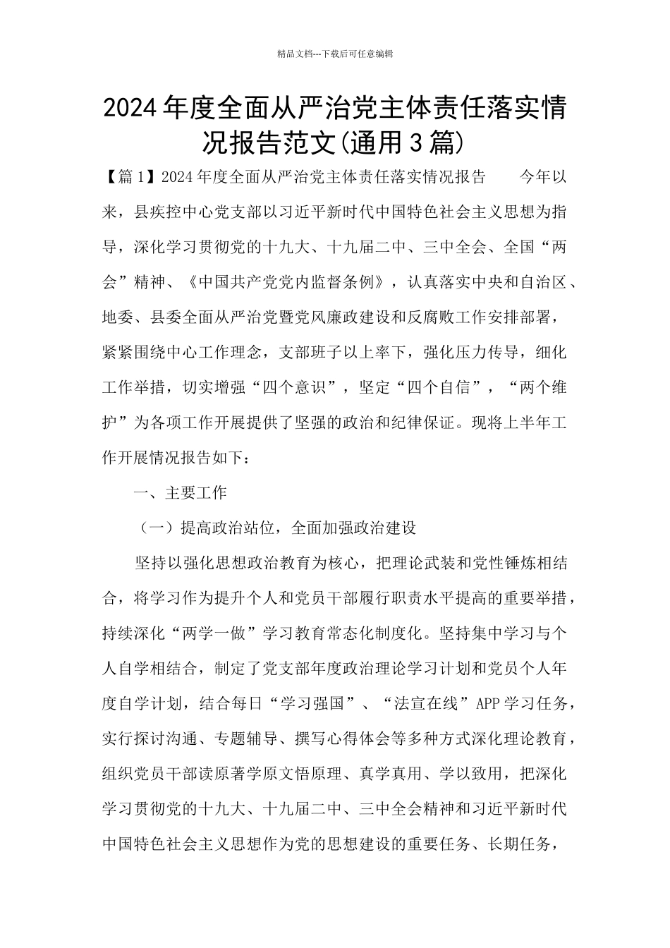 2024年度全面从严治党主体责任落实情况报告范文_第1页