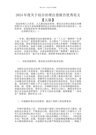 2024年度关于综合治理自查报告优秀范文