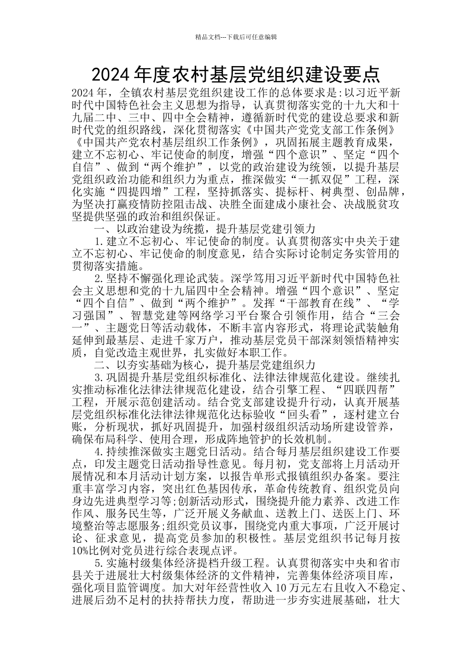 2024年度农村基层党组织建设要点_第1页