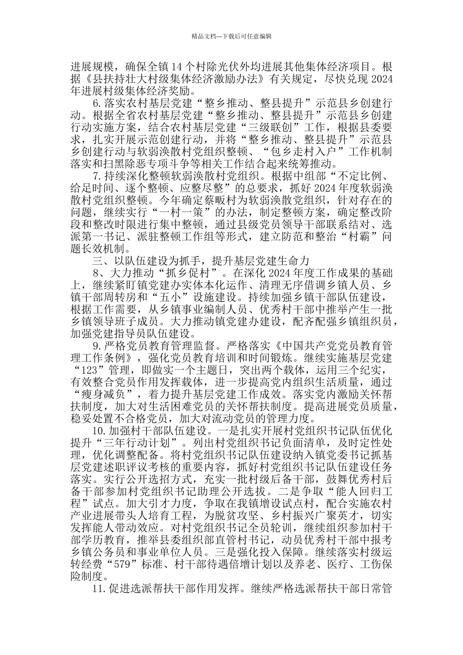 2024年度农村基层党组织建设要点_第2页