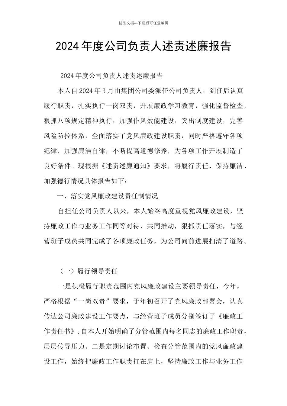 2024年度公司负责人述责述廉报告_第1页