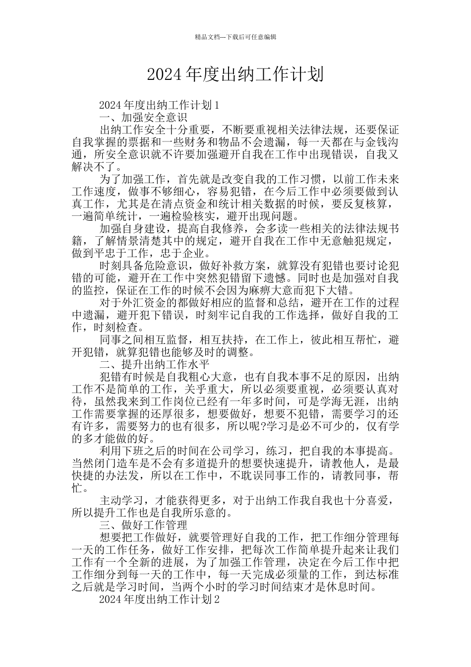 2024年度出纳工作计划_第1页