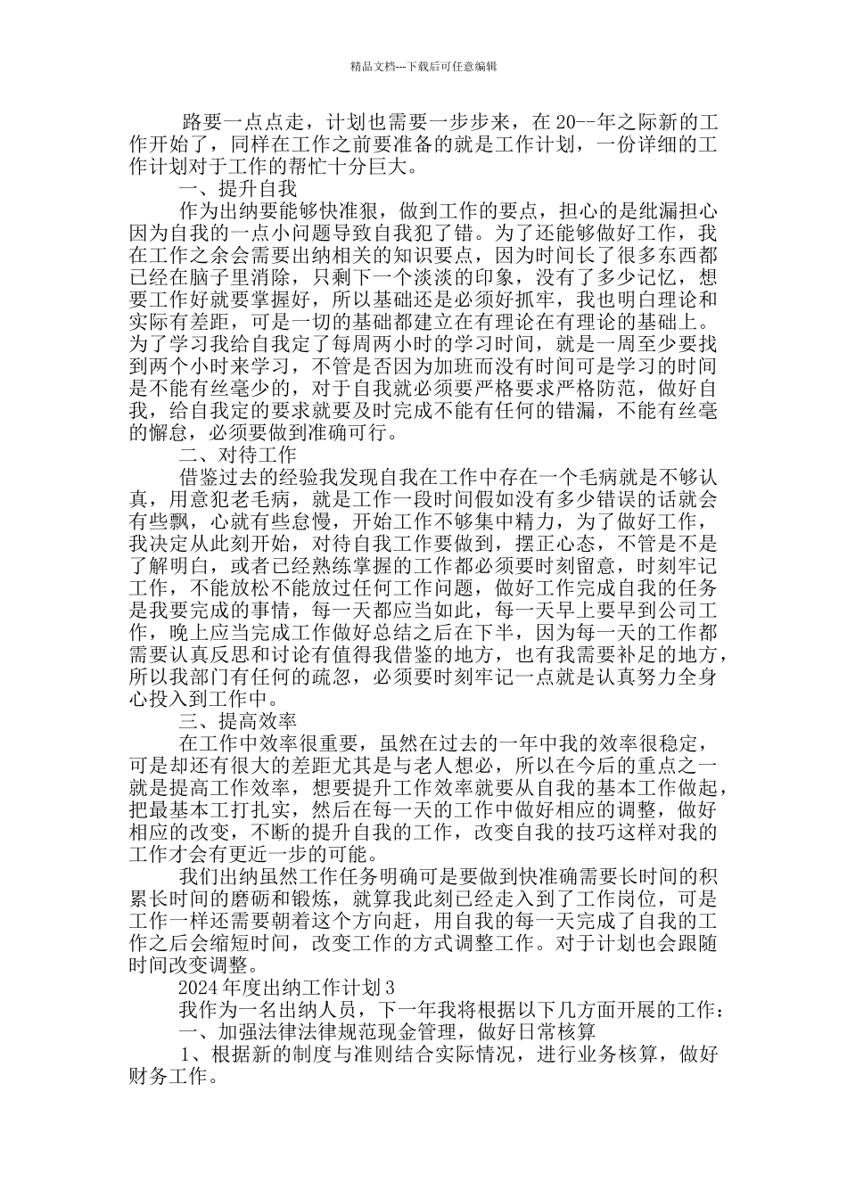 2024年度出纳工作计划_第2页