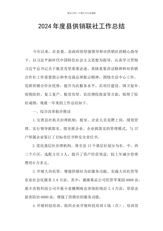 2024年度县供销联社工作总结