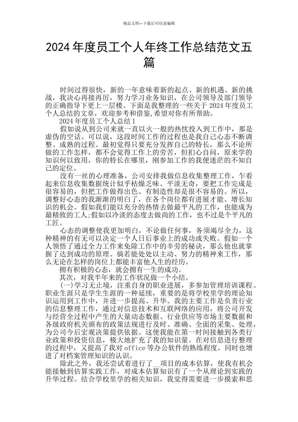 2024年度员工个人年终工作总结范文五篇_第1页
