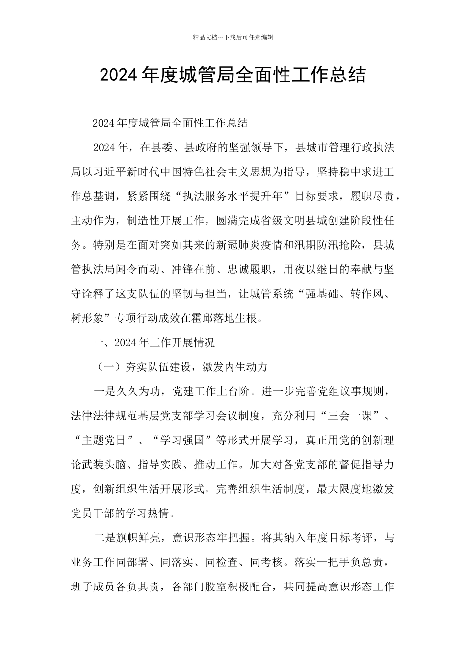 2024年度城管局全面性工作总结_第1页