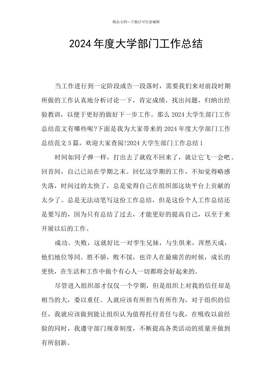 2024年度大学部门工作总结_第1页