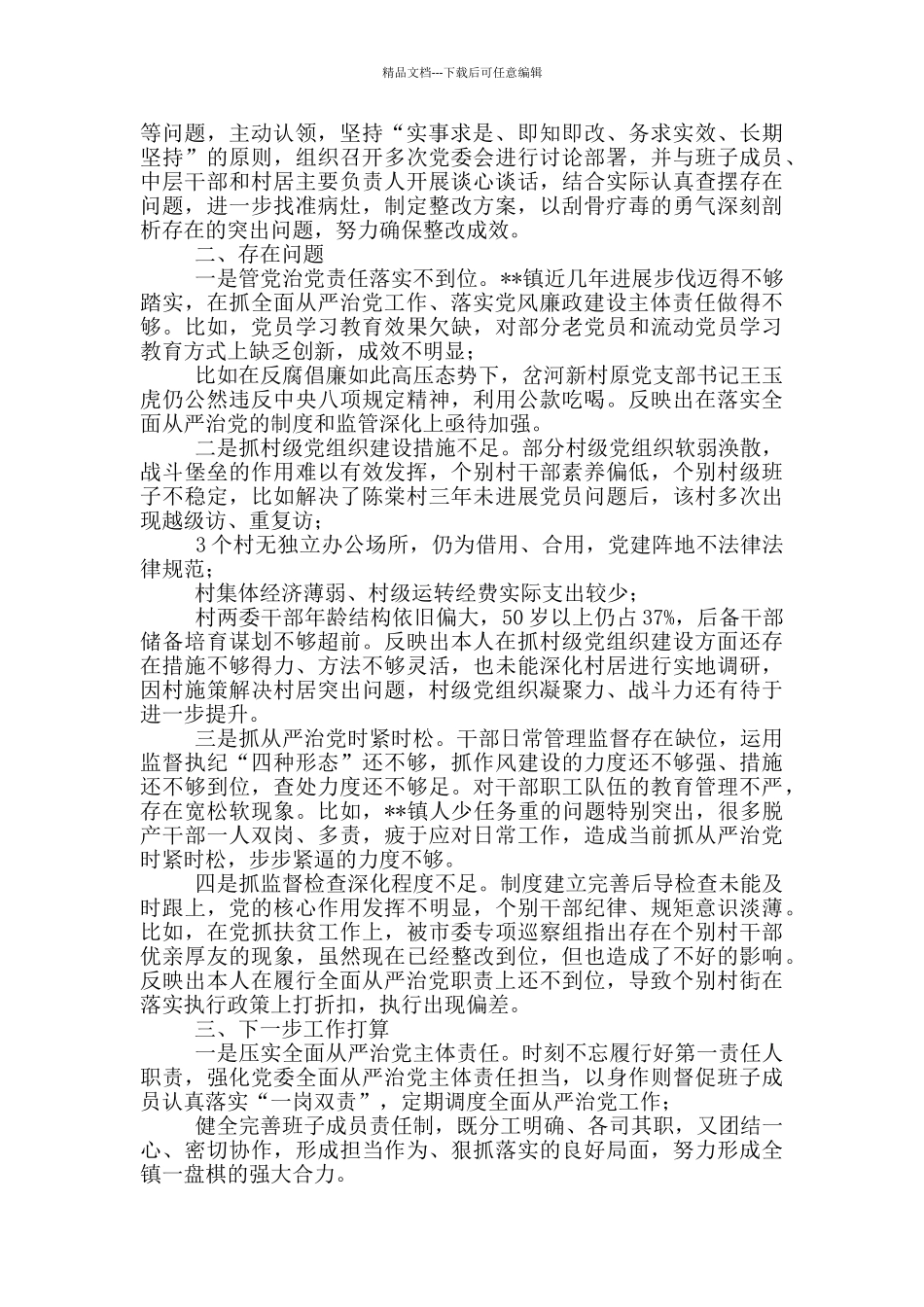 2024年度履行全面从严治党责任述职报告_第2页