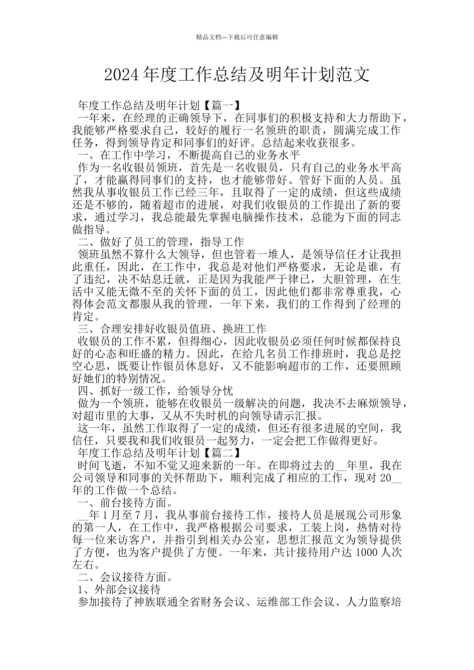 2024年度工作总结及明年计划范文_第1页