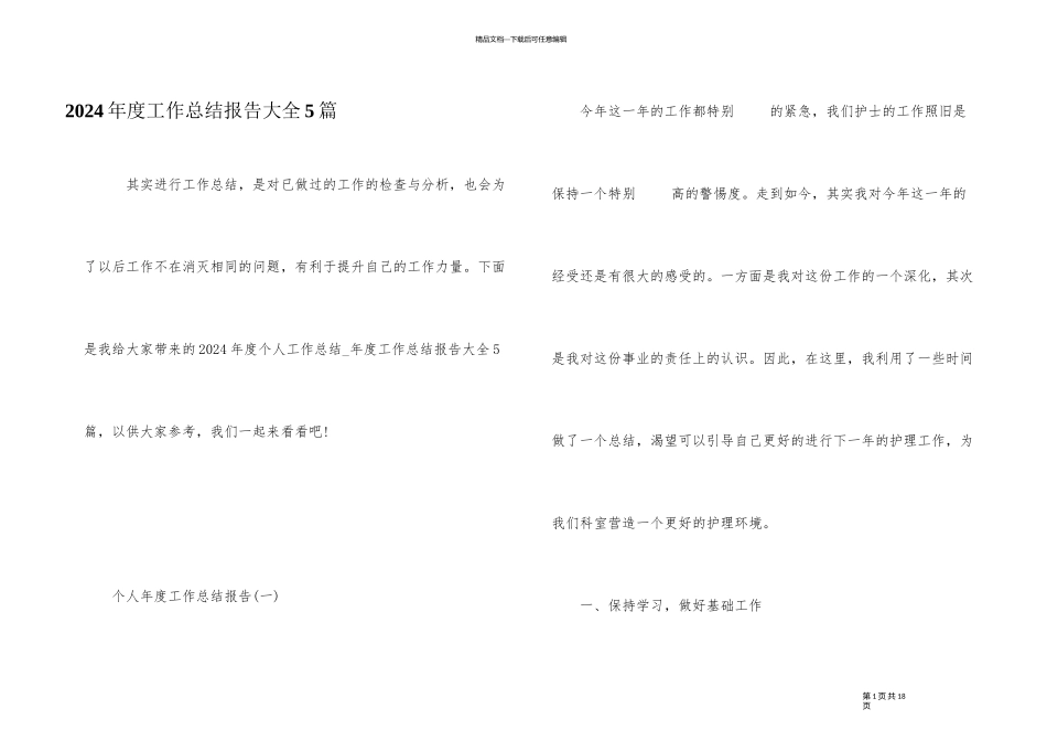 2024年度工作总结报告大全5篇_第1页