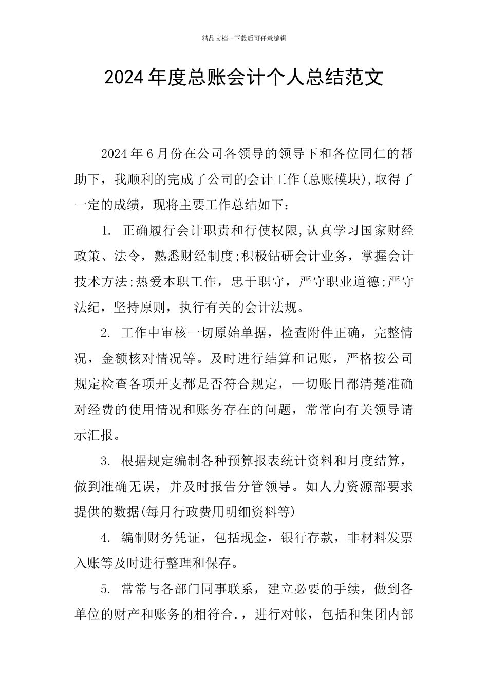 2024年度总账会计个人总结范文_第1页