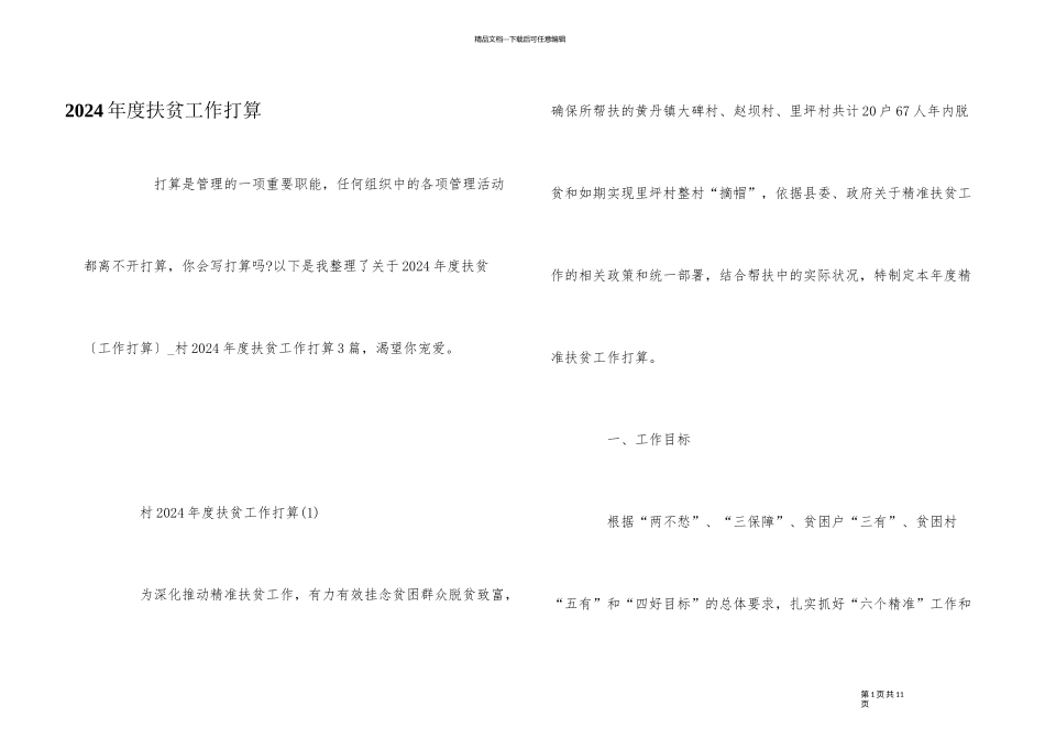 2024年度扶贫工作计划_第1页