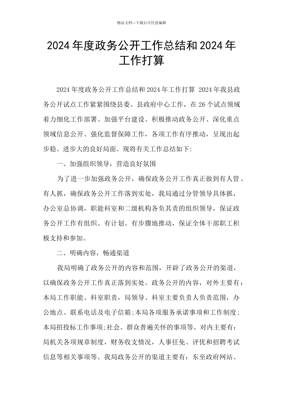 2024年度政务公开工作总结和2024年工作打算_第1页