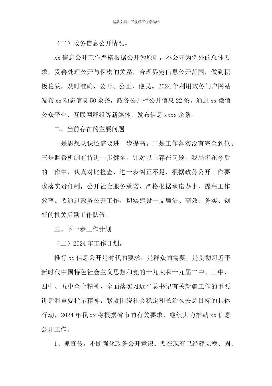 2024年度政务公开工作情况总结汇报_第2页