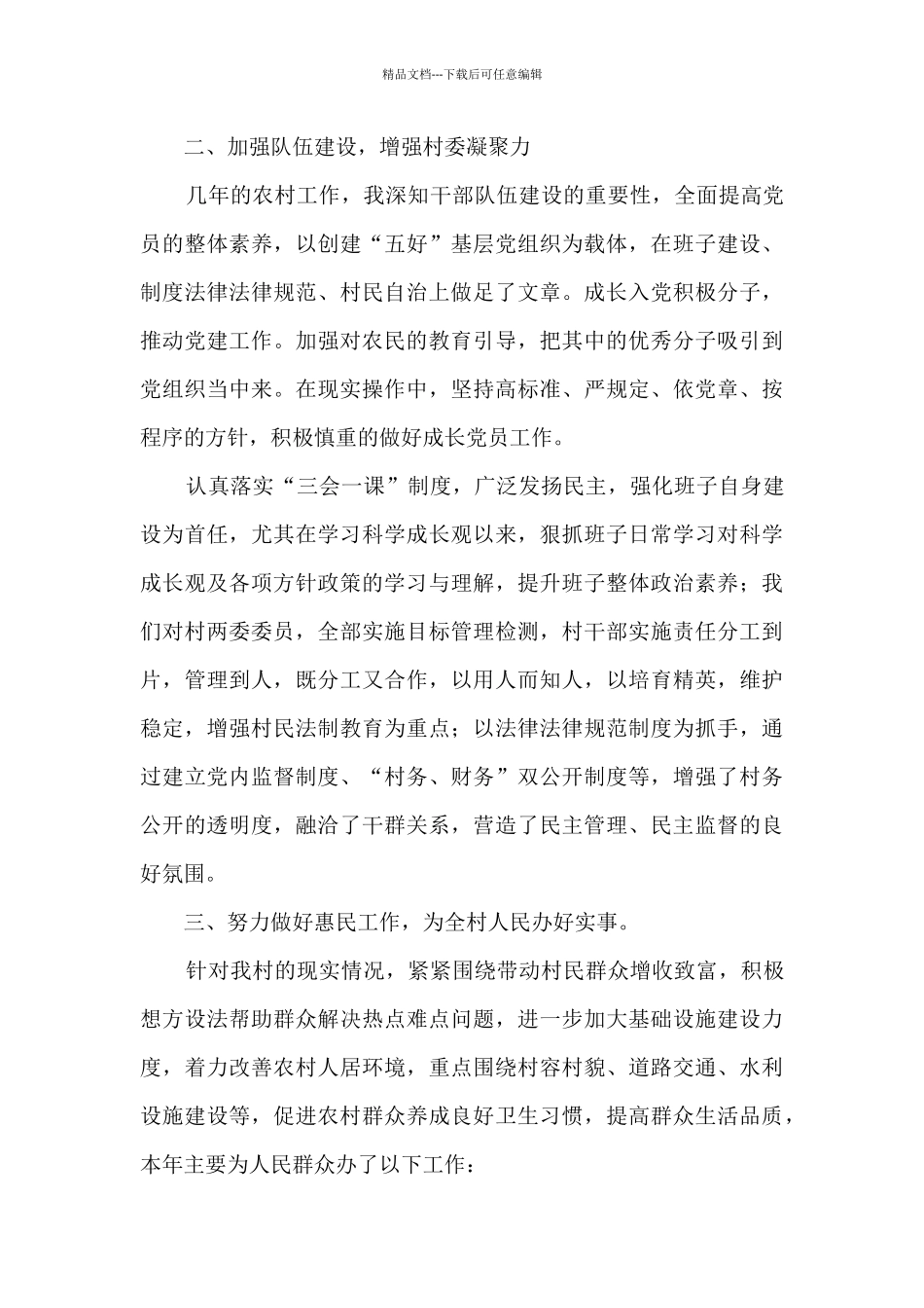 2024年度村主要负责人个人工作总结_第2页