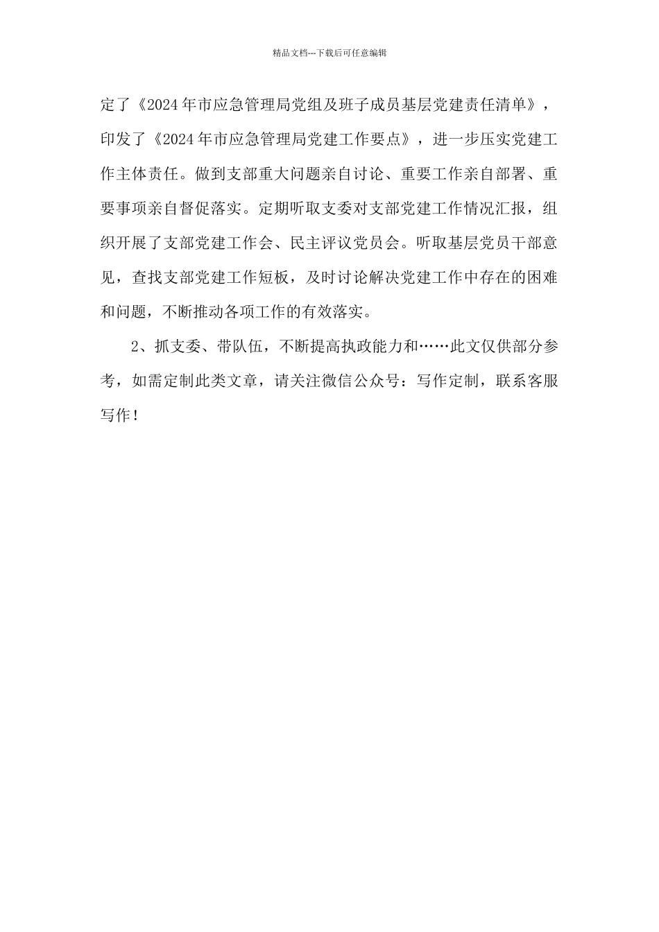 2024年度某市应急管理局机关支部党建工作述职报告_第2页