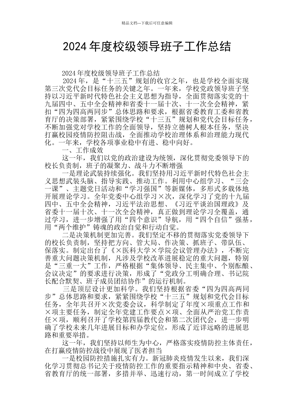 2024年度校级领导班子工作总结_第1页