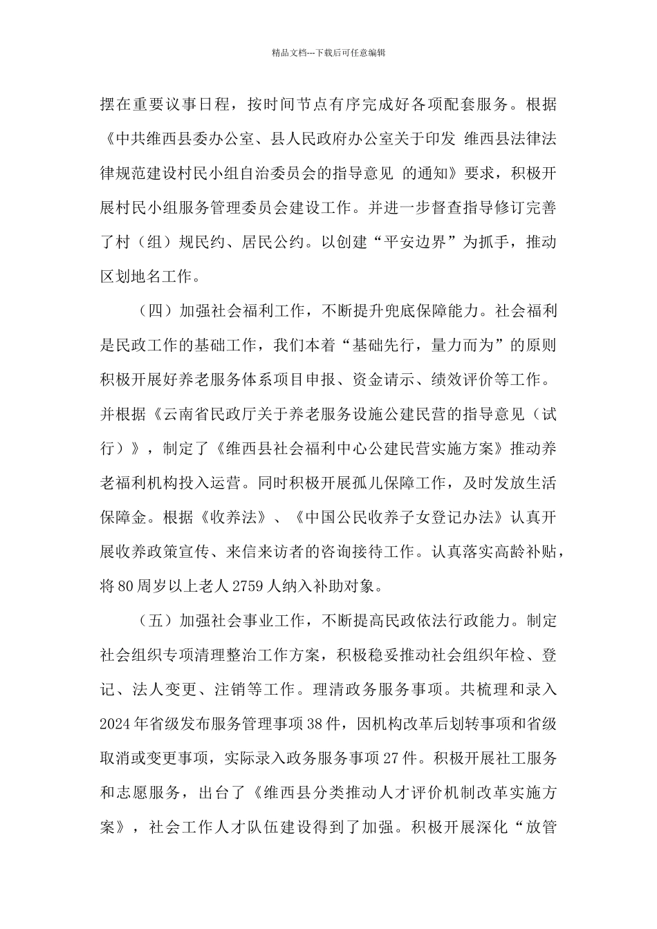 2024年度民政局工作总结_第3页