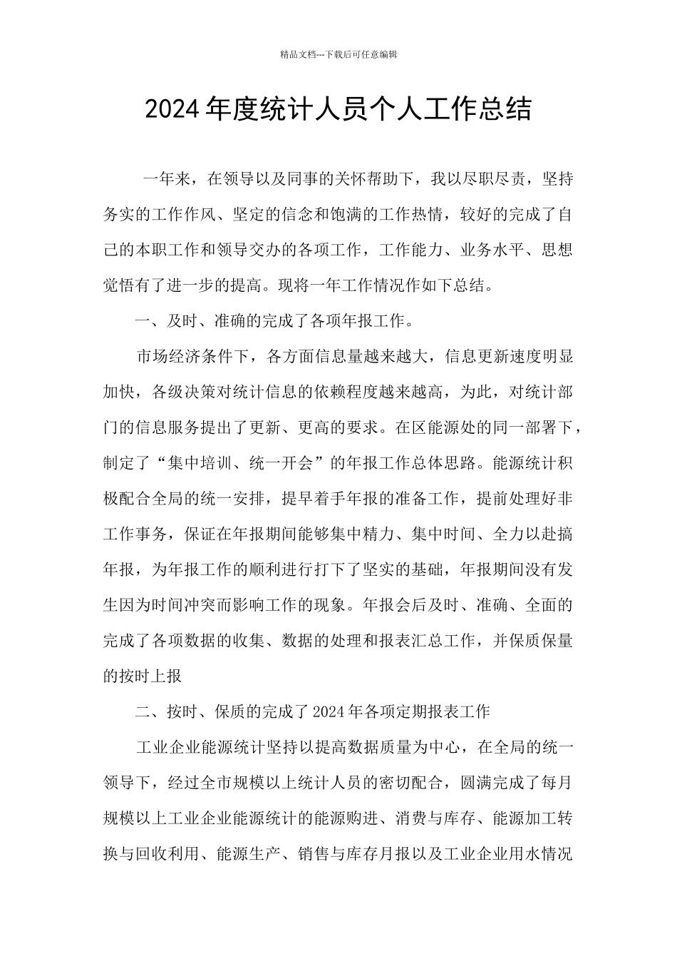 2024年度统计人员个人工作总结_第1页