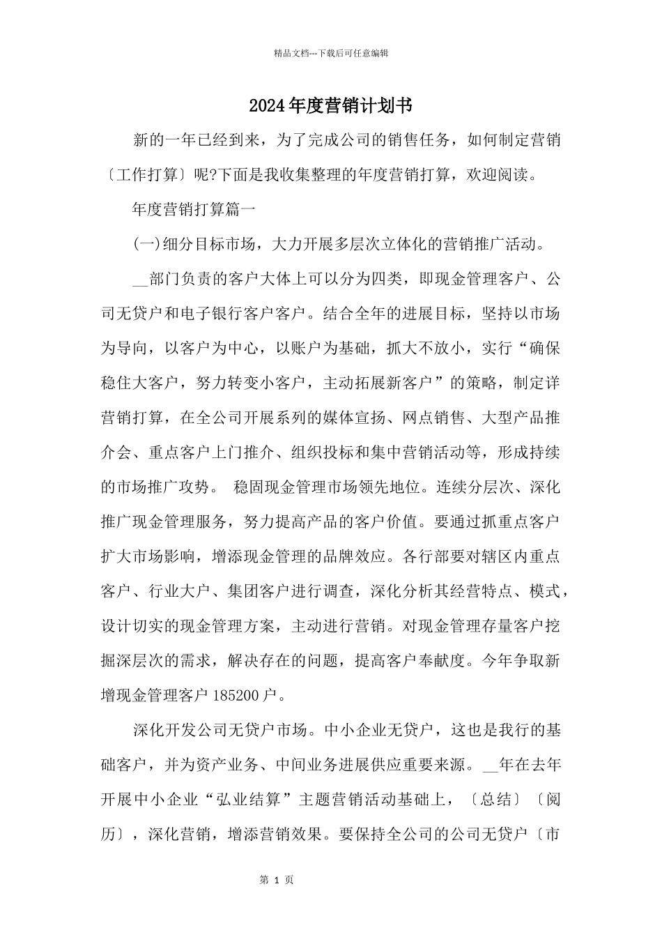 2024年度营销计划书_第1页