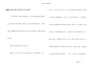 2024年度计划生育协会工作计划