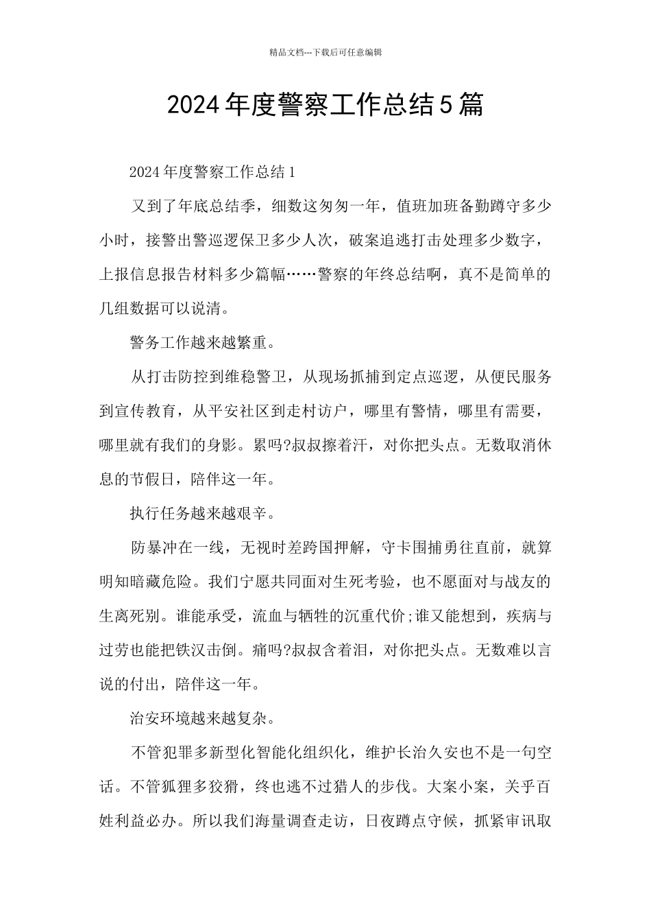 2024年度警察工作总结5篇_第1页