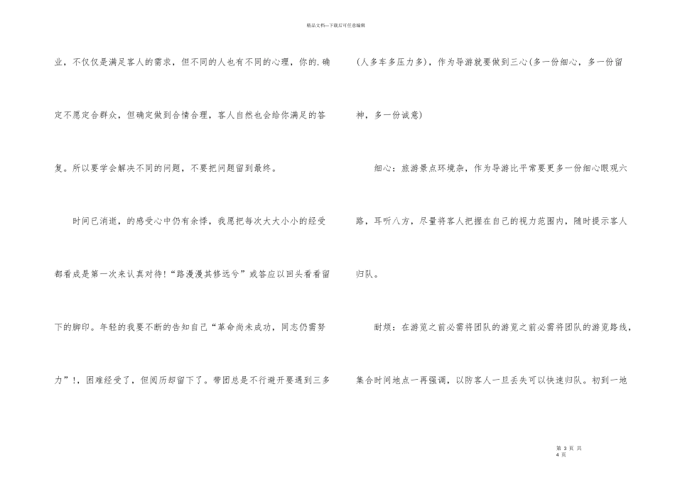 2024年度资深导游工作总结_第3页