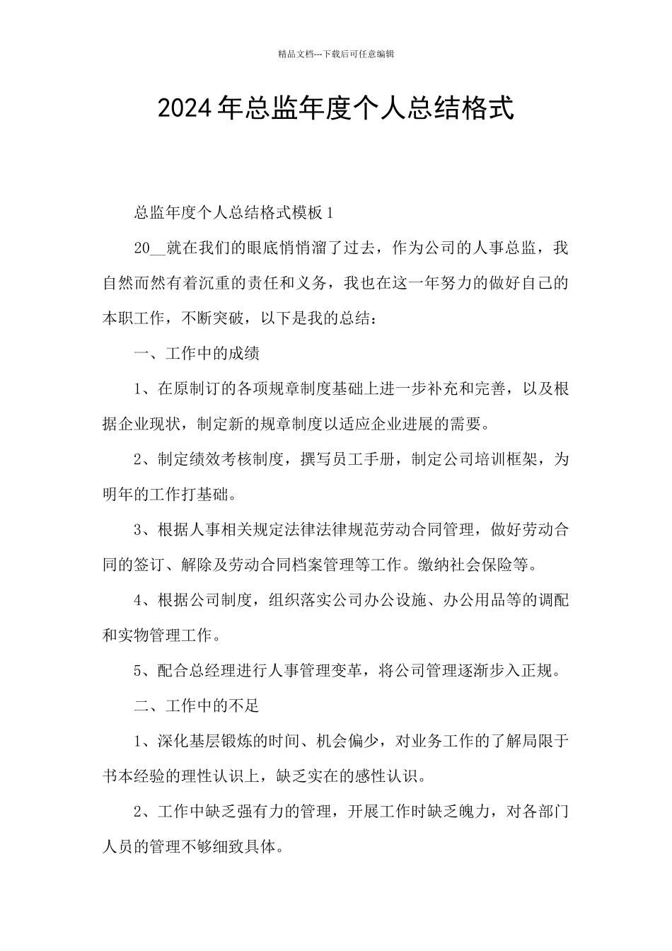 2024年总监年度个人总结格式_第1页