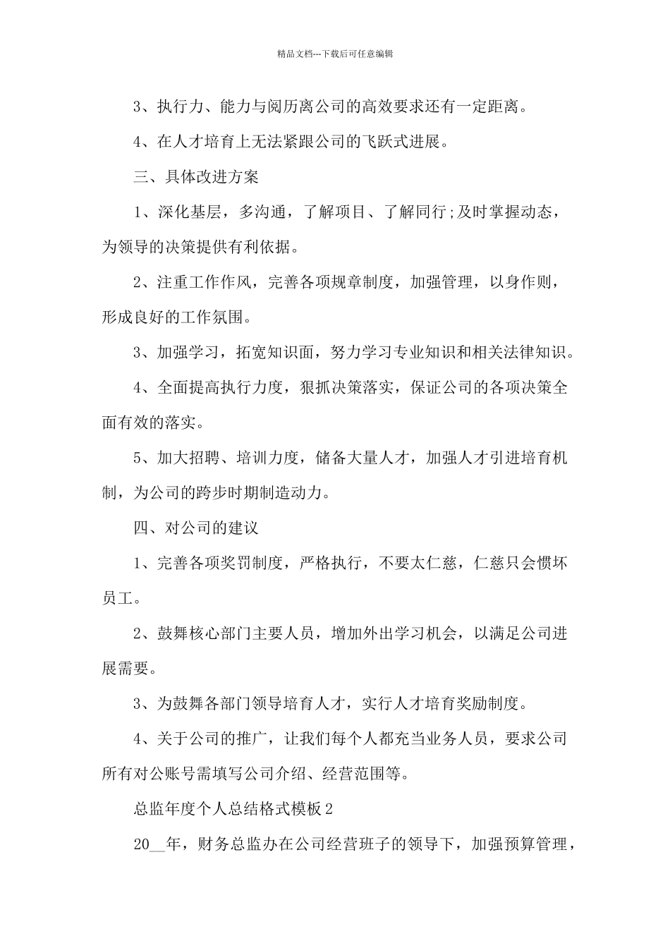 2024年总监年度个人总结格式_第2页