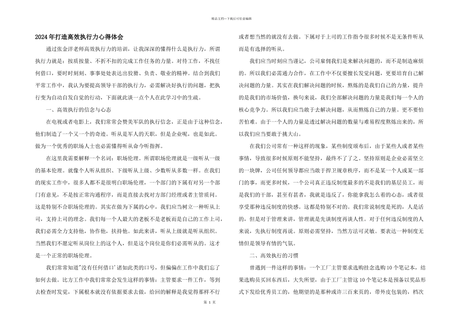 2024年打造高效执行力心得体会_第1页