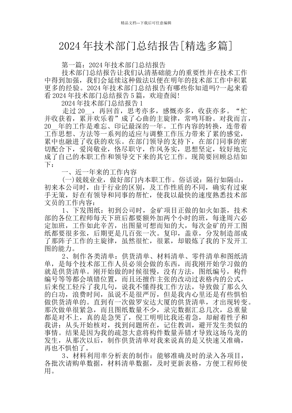 2024年技术部门总结报告_第1页