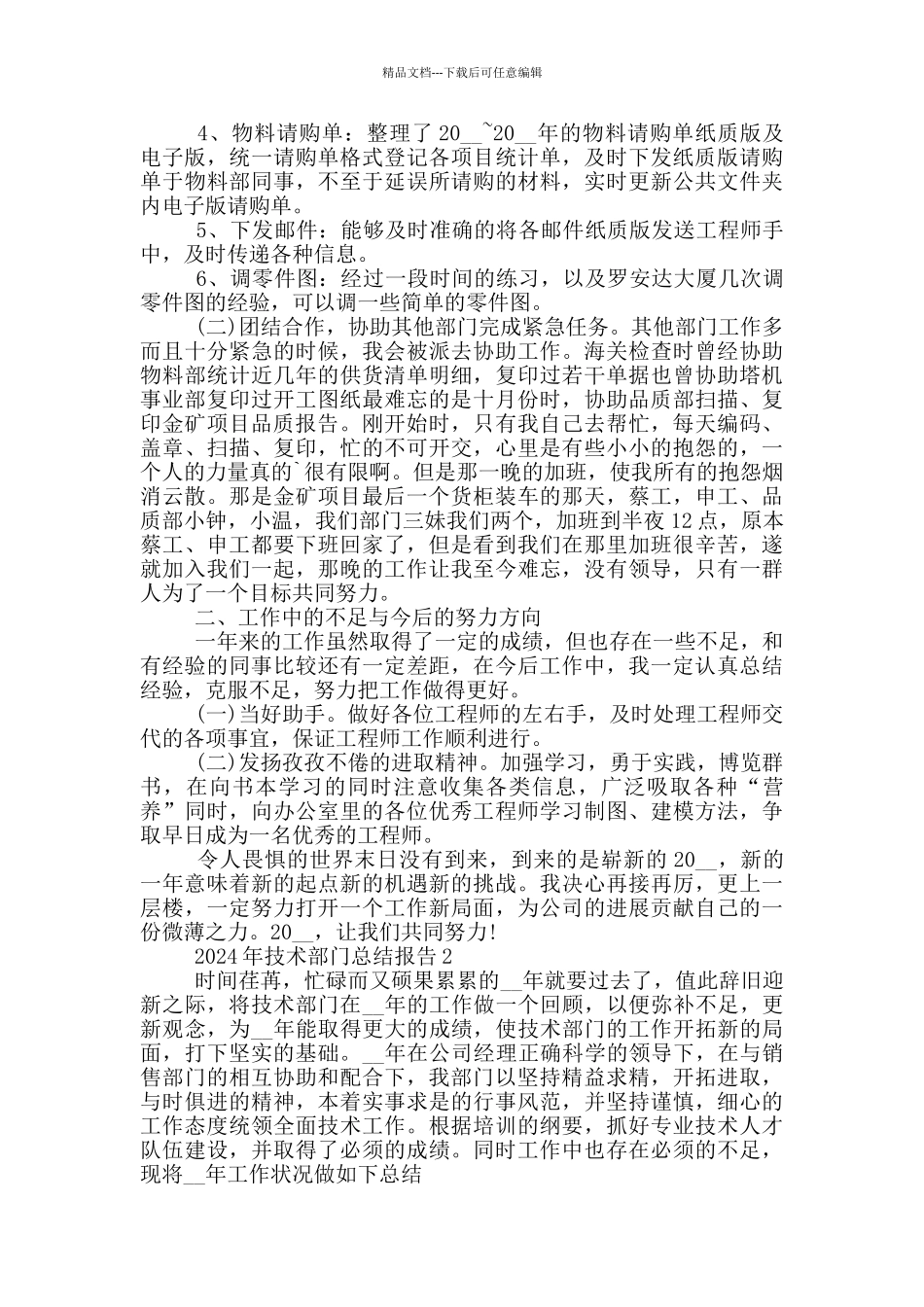 2024年技术部门总结报告_第2页