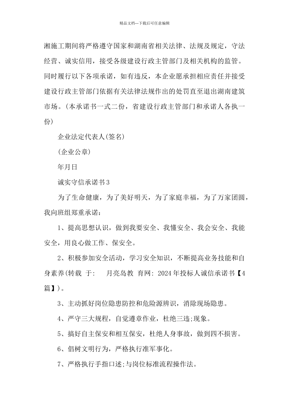 2024年投标人诚信承诺书_第3页