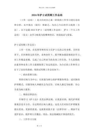 2024年护士试用期工作总结
