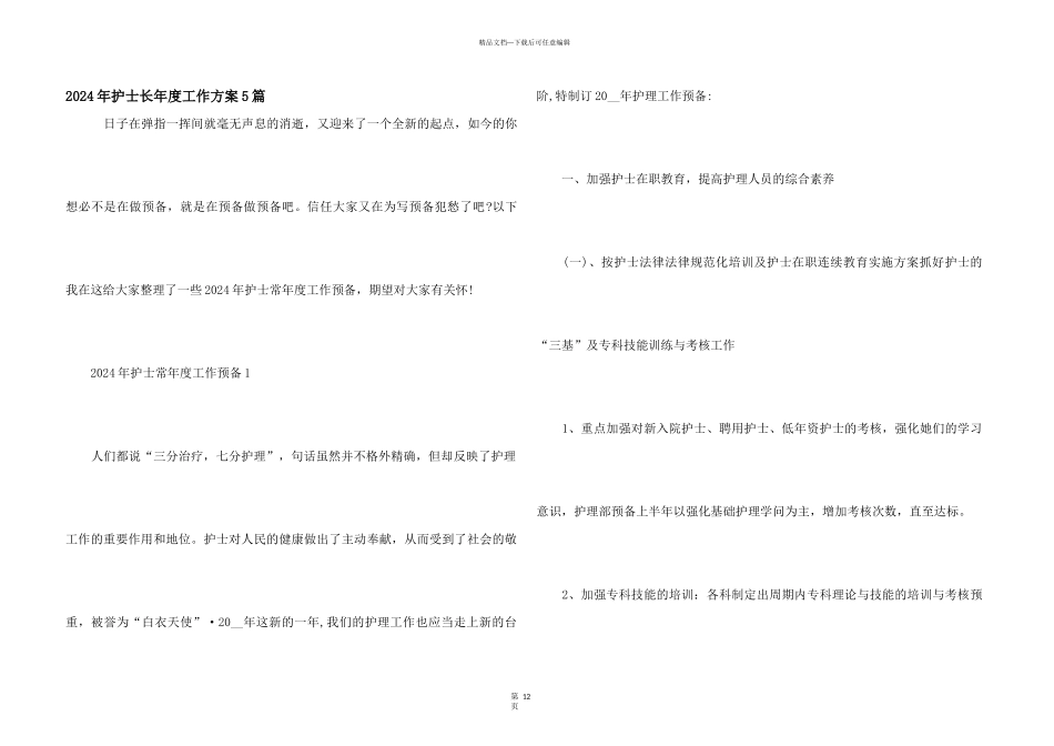 2024年护士长年度工作计划5篇_第1页