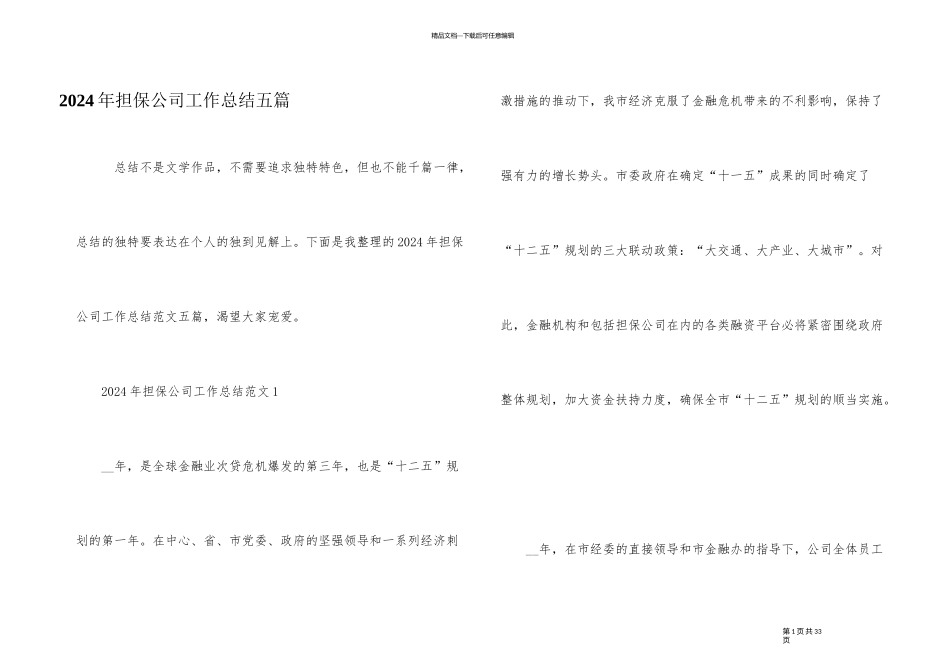 2024年担保公司工作总结五篇_第1页