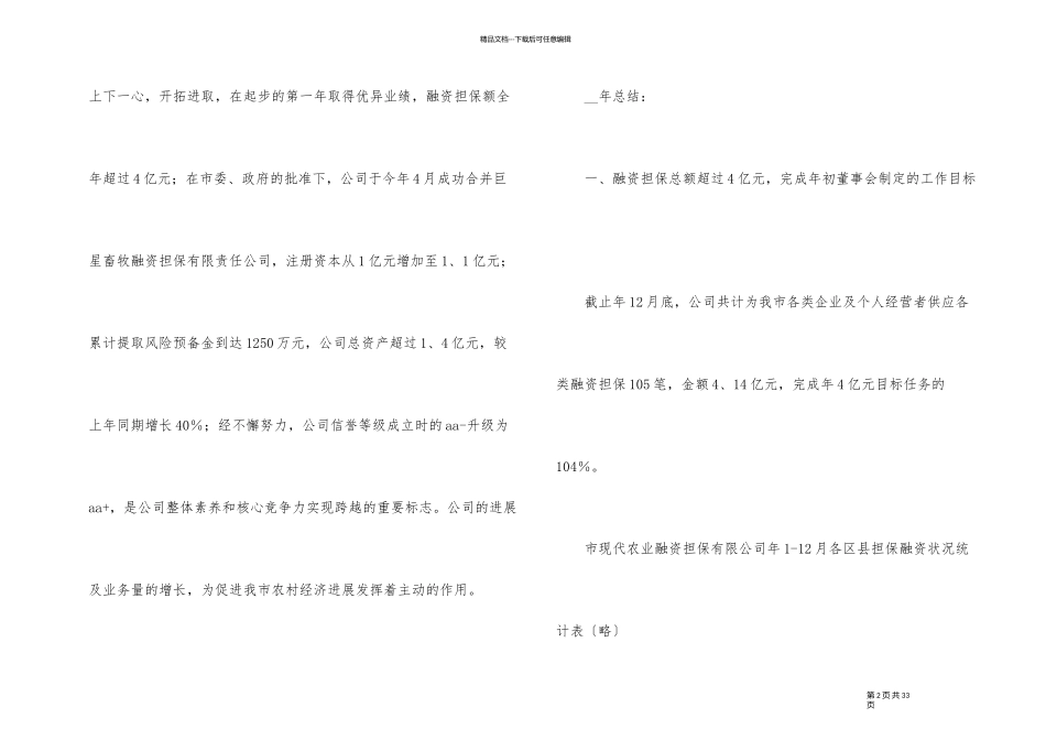 2024年担保公司工作总结五篇_第2页