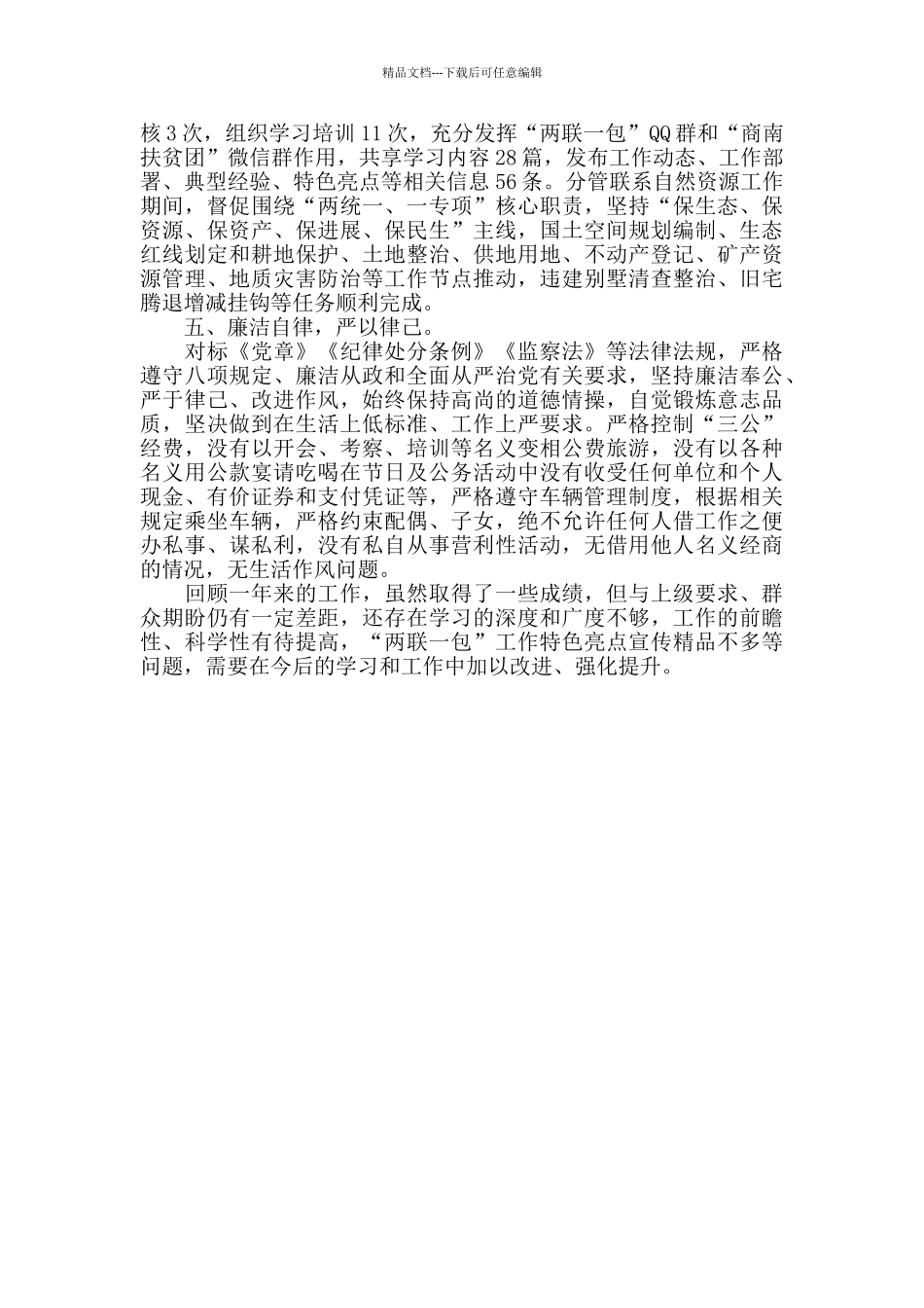 2024年挂职副县长述职述廉述效报告_第2页