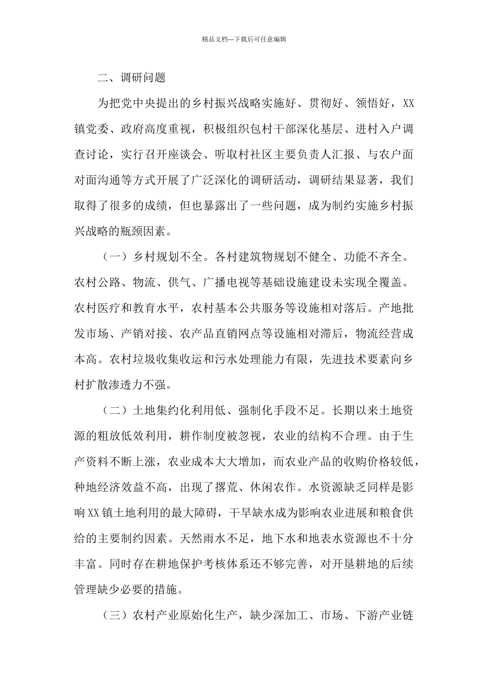 2024年推进乡村振兴战略调研报告_第2页