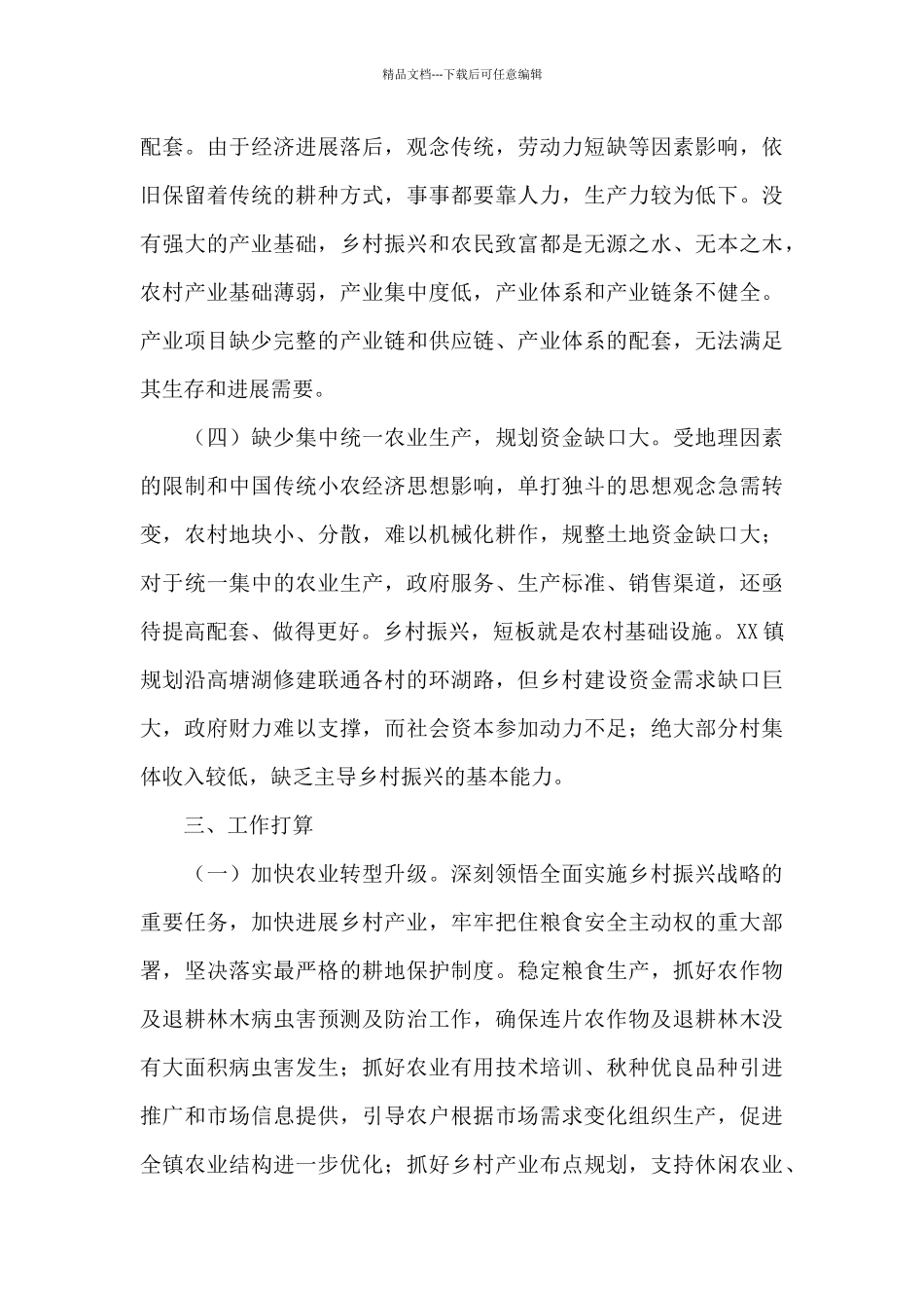 2024年推进乡村振兴战略调研报告_第3页