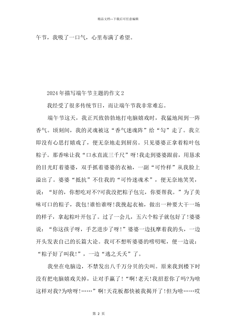 2024年描写端午节主题的_第2页