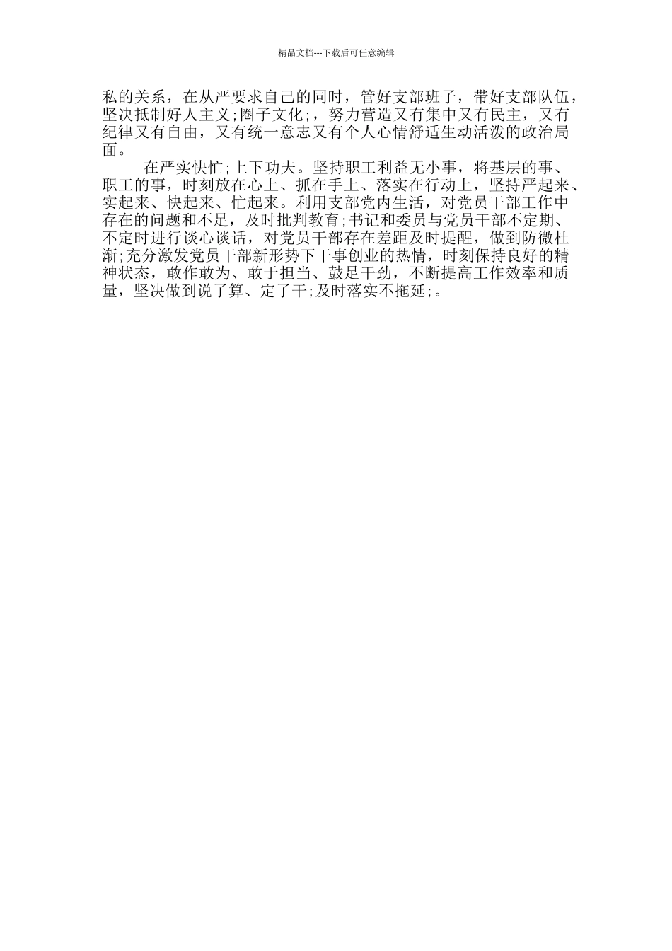 2024年支部书记述职报告范文_第3页