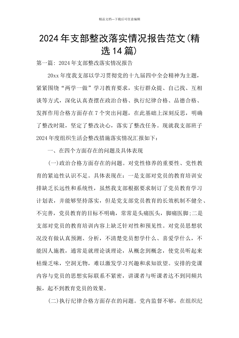 2024年支部整改落实情况报告范文_第1页
